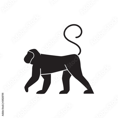 monkey