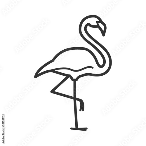 flamingo