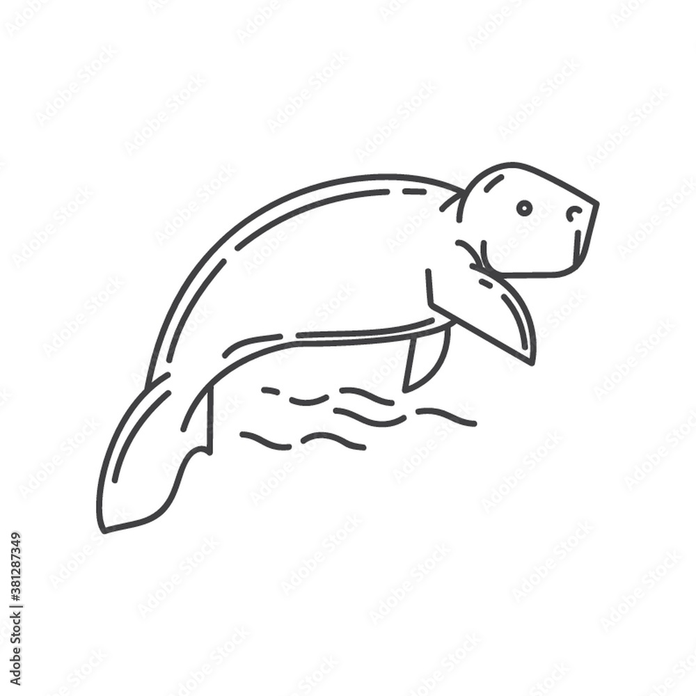 Fototapeta premium dugong