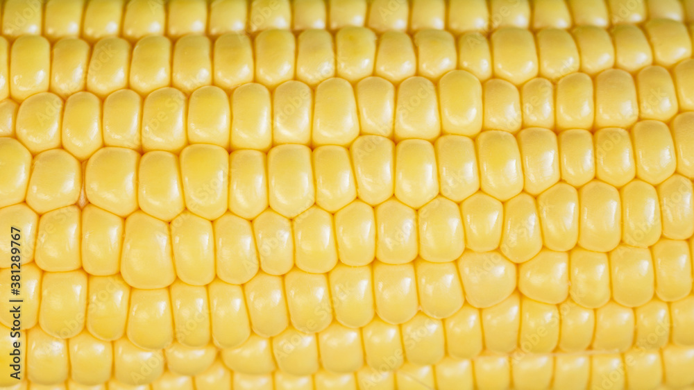 corn food background, macro closeup. yellow sweetcorn grain texture. tasty vegetable, vegetarian meal corn food background, macro closeup. yellow sweetcorn grain texture. tasty vegetable, vegetarian meal