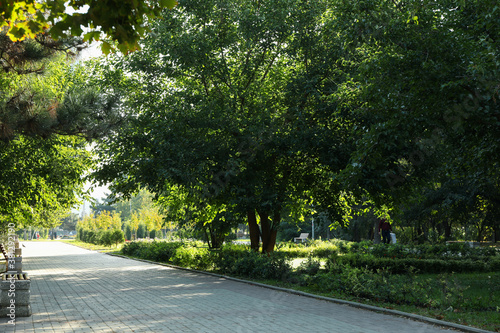 Fototapeta Naklejka Na Ścianę i Meble -  Beautiful city park in bright sunny morning