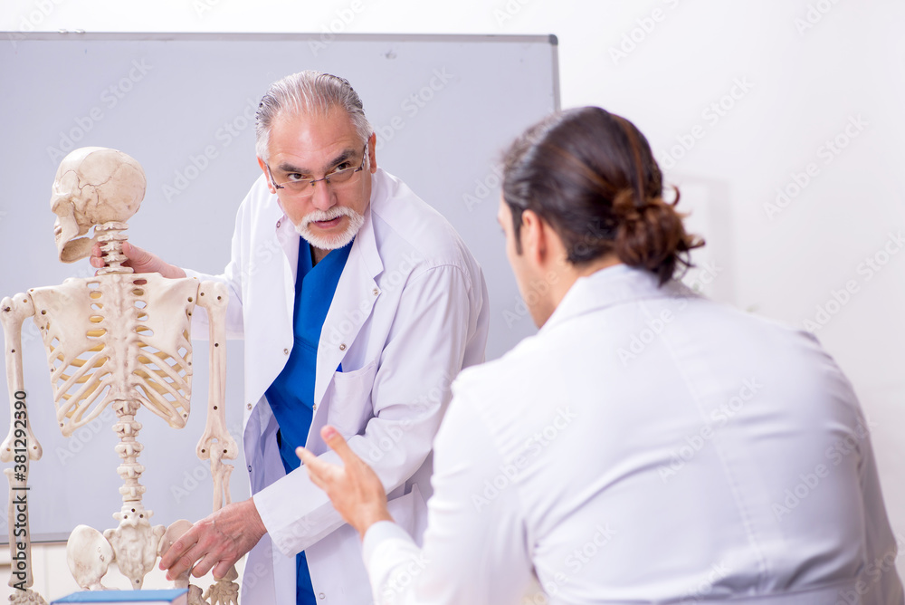 Fototapeta premium Experienced doctor surgeon teaching young male assistant