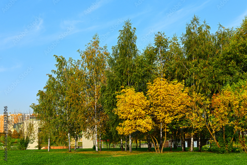 Autumn landscape. Picturesque trees in landscape park. Moscow, Russia
