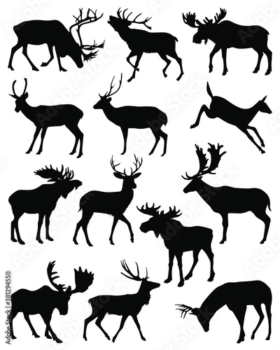 Collection of silhouettes of wild animals. Vector collection of deer silhouettes. Deer silhouette set. © SkyWorks