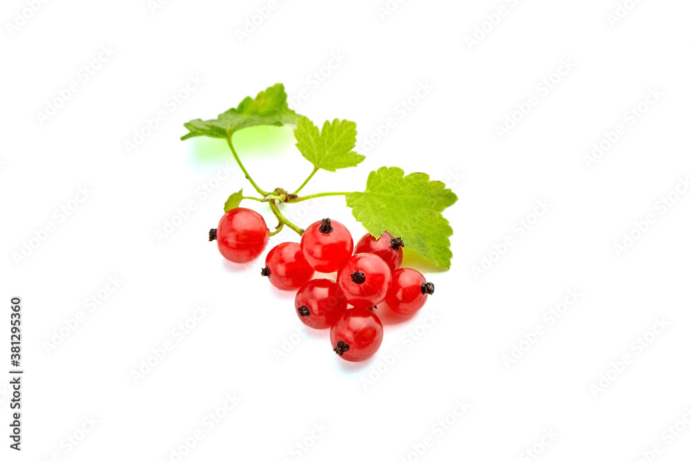 Red currant berries isolated on white background Red currant berries isolated on white background