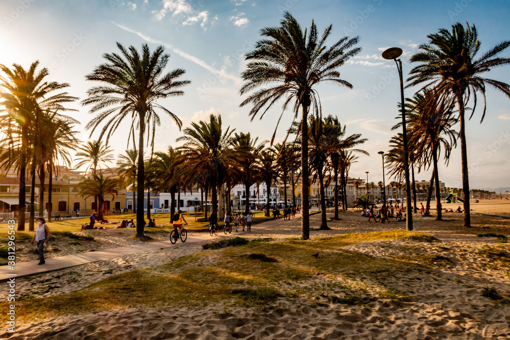 Palmen am Strand von Valencia