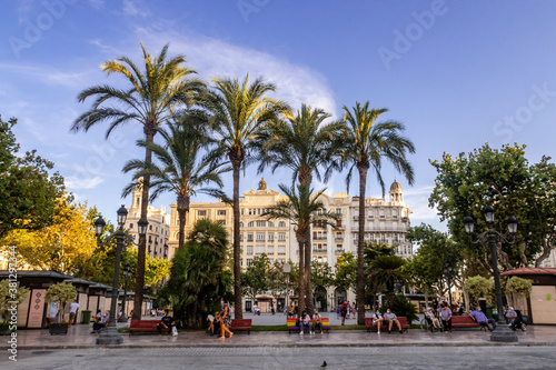 Palmenam Rathausplatz in Valencia Spanien