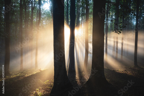 Magical sunrise in the fore...