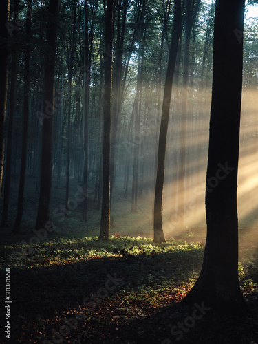Sun rays shines through the...