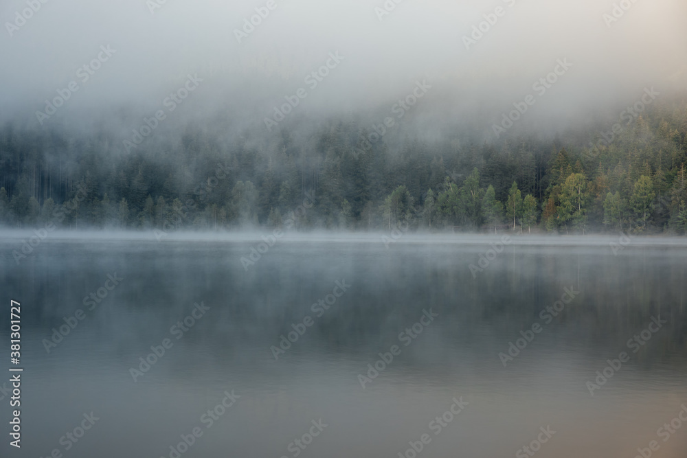 Scenic view of foggy lake and pine forest at dawn in the wilderness.  Sfanta Ana,Romania,Transylvania.