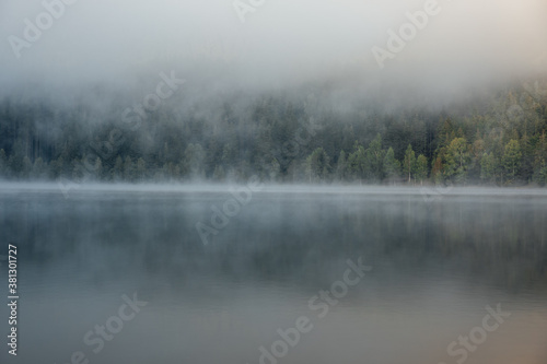 Scenic view of foggy lake and pine forest at dawn in the wilderness. Sfanta Ana,Romania,Transylvania.