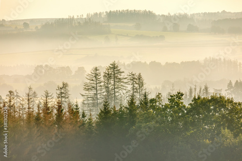 fall misty and foggy country landscape with a tree silhouette on a fog at sunrise, rural countryside Jihlava, Puklice Vysocina Czech Republic