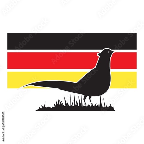 pheasant bird