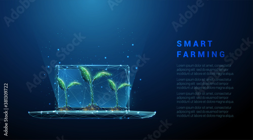Abstract laptop with green plants. Smart farming concept photo