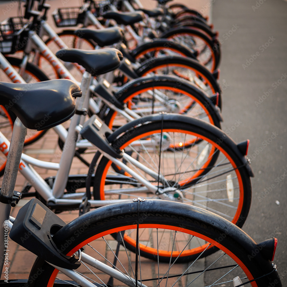 Bike rental on the main street of the city. Bike sharing system.