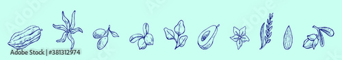 set of healthy food oils for cooking or for bio cosmetics cartoon icon design template with various models. vector illustration isolated on blue background