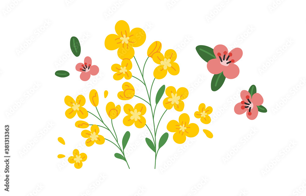 Bright wildflowers isolated on a white background. Colored carton vector illustration