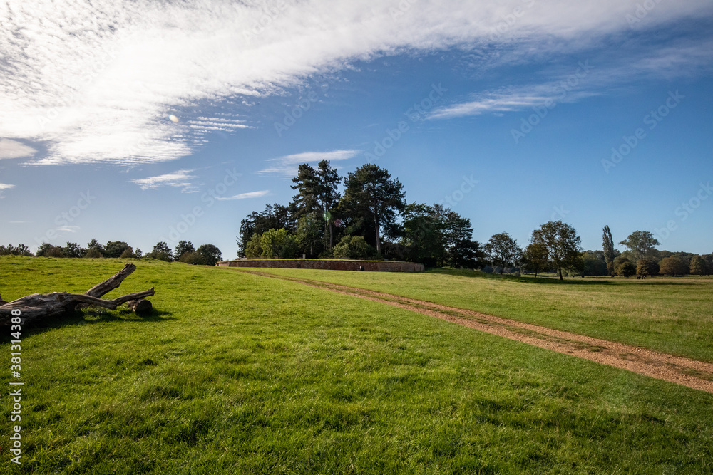 Fototapeta premium tree,blue,sky,clouds,grass