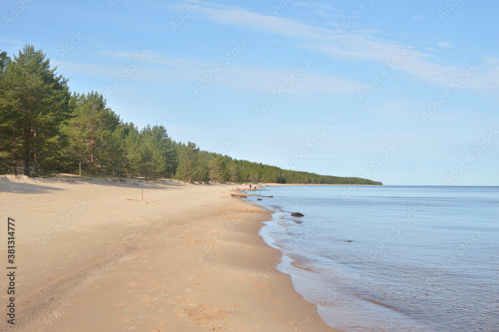 Coast of Ladoga lake at sunny day, Karelian isthmus, Russia. Coast of Ladoga lake at sunny day, Karelian isthmus, Russia.