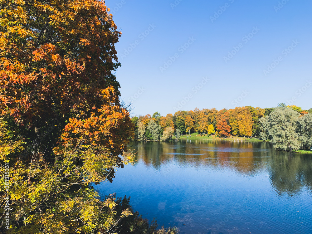 Obraz premium Golden trees on the lake in the fall time