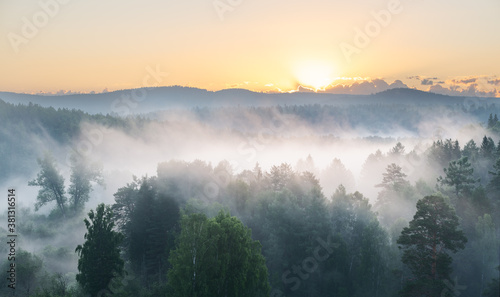 Beautiful sunrise over foggy forest