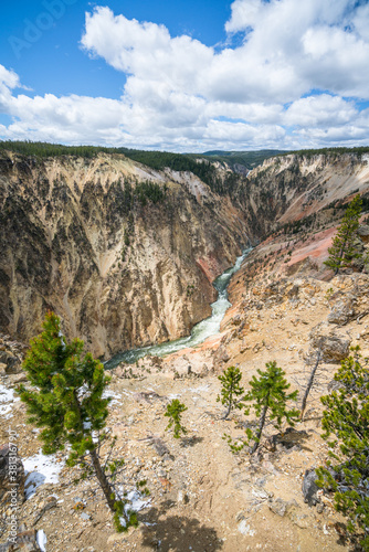 grand canyon of the yellowston from the north rim, wyoming, usa