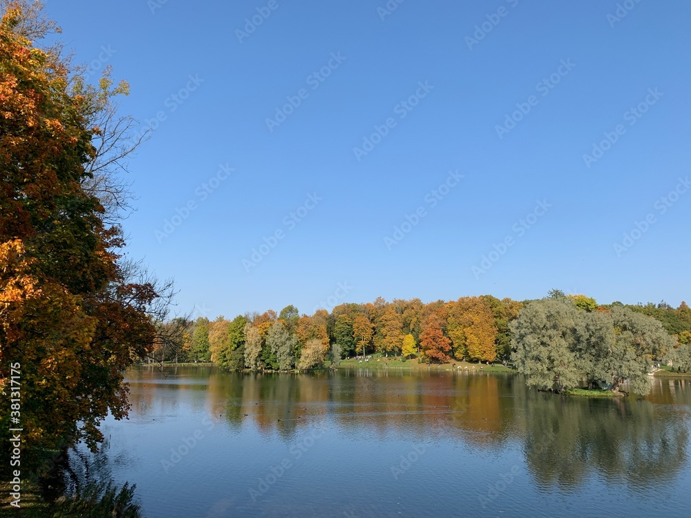 Golden trees on the lake in the fall time Golden trees on the lake in the fall time