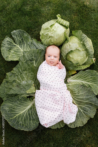 Newborn girl 3 months is lying in a green cabbage. Vegetables. happy childhood