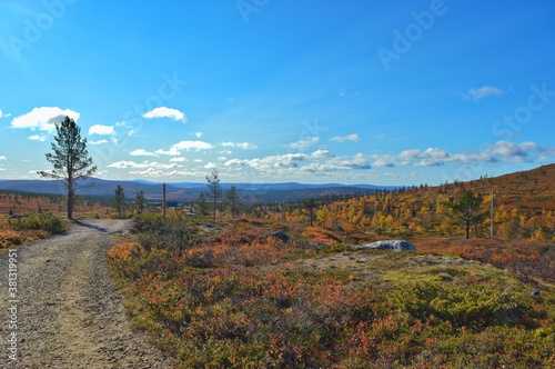 Pallas - Yllastunturi national park, mountains, trails and fall in Finnish Lapland