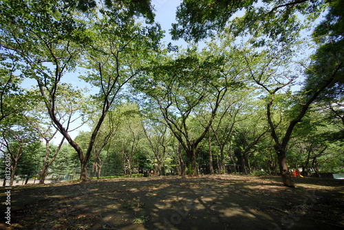 希望丘公園（東京都世田谷区船橋）