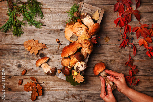 Autumn still life. Composition with mushrooms and leaves on a wooden background