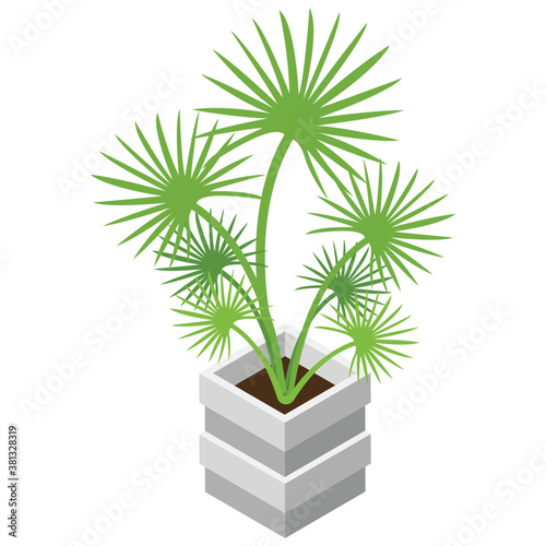 
Decorative plant isometric icon design
