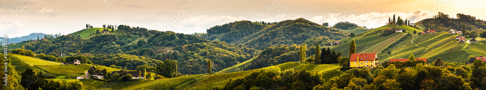 Vineyards panorama in South Styria, beginning of autumn.