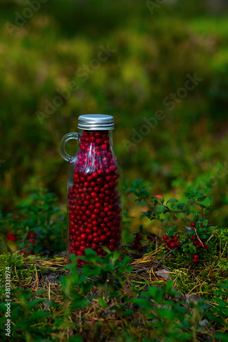 Fresh lingonberries in a glass bottle on a clearing in the forest. Bottle full of berries fresh ripe northern lingonberry . The concept of healthy food and organic products. Top View.