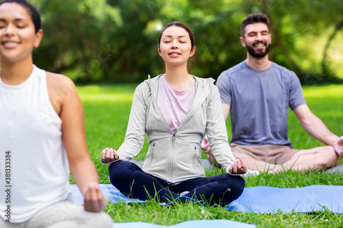 fitness, sport, yoga and healthy lifestyle concept - group of happy people meditating in lotus pose at summer park photo