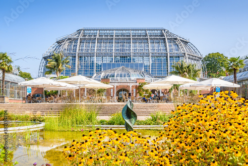 Botanischer Garten und Botanisches Museum in Berlin photo