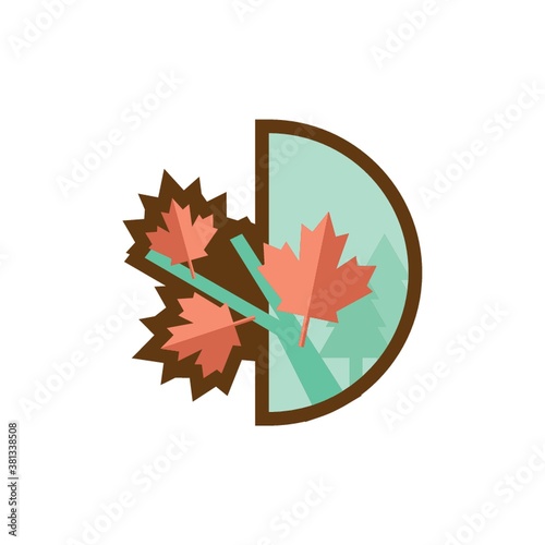 Maple leaves