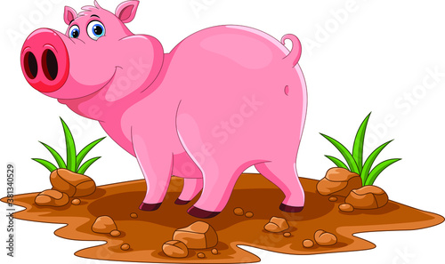 Illustration of cute pig cartoon