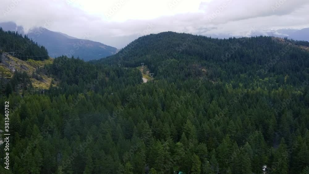 Fly over green pine forest with electric lines and road visible Fly over green pine forest with electric lines and road visible
