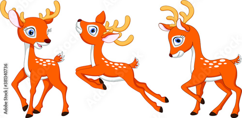 Illustration of cartoon deer collection set