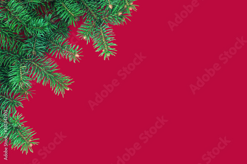 Festive composition with border of fluffy dark green fir branches on red background. Top view, flat lay style, copy space for text.