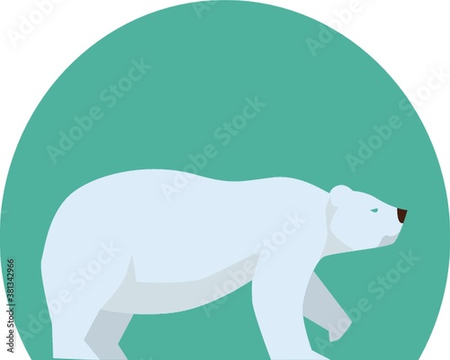 polar bear