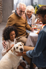 selective focus of golden retriever near multicultural family having thanksgiving dinner