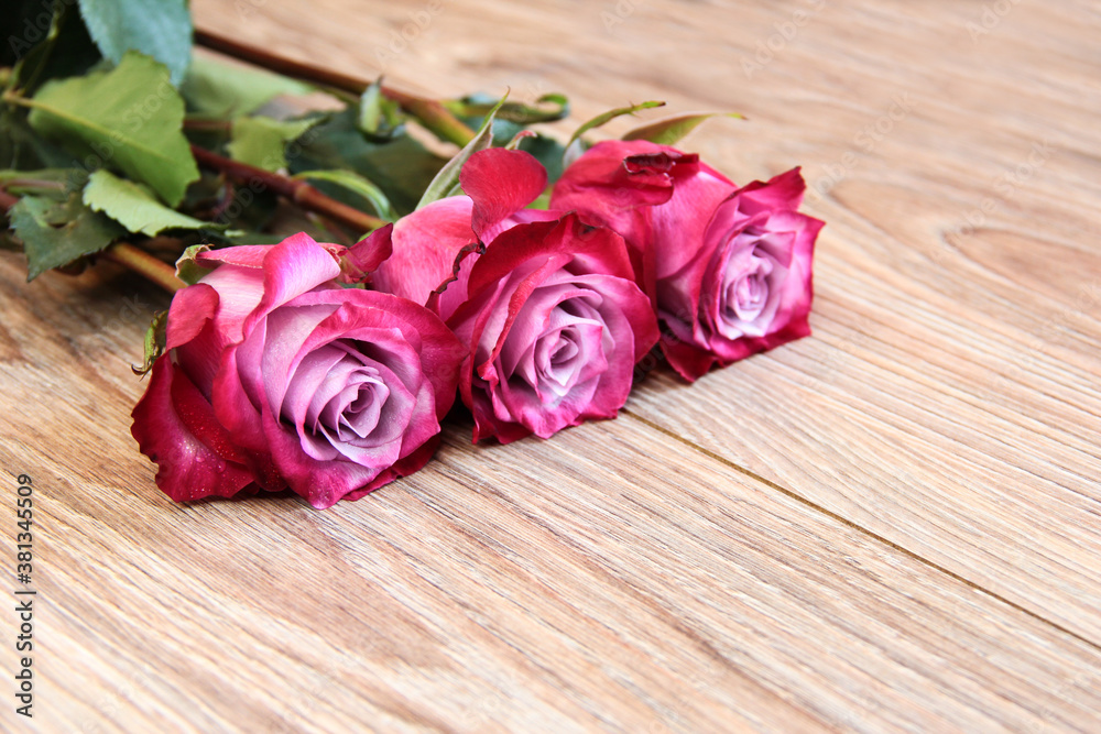 Three pink roses on a wooden background.