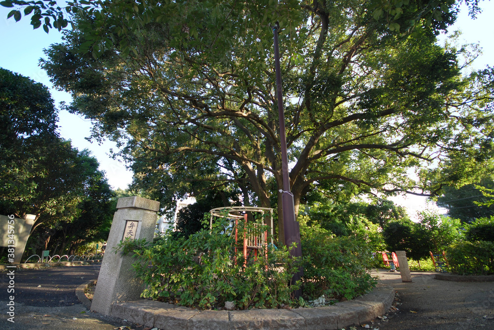 Naklejka premium 北沢川緑道弁天橋(東京都世田谷区)