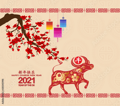Chinese new year 2021 background with cherry blossom. Year of the Ox (Chinese translation Happy chinese new year 2021, year of ox)