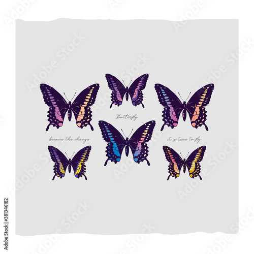 Butterfly abstract illustration 