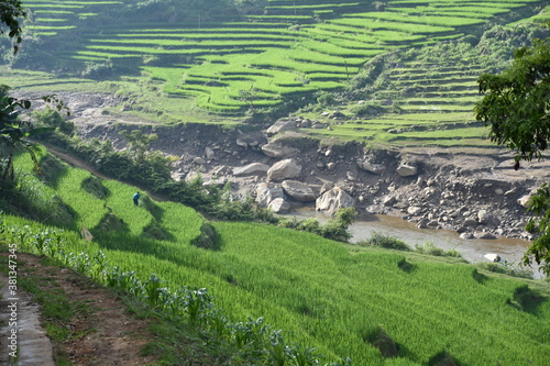 High Angle View of Rice Terraces and River  Sa Pa  Vietnam