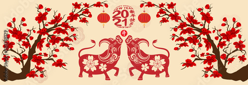 Set Banner Happy new year 2021 greeting card and chinese new year of the Ox, Cherry blossom background (Chinese translation Happy chinese new year 2021, year of ox)