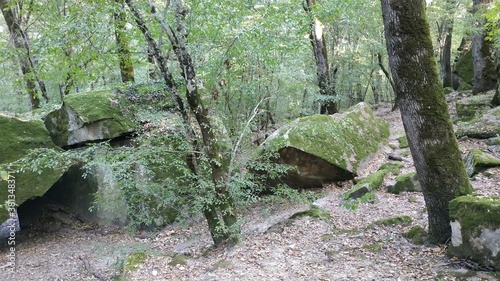 rocks